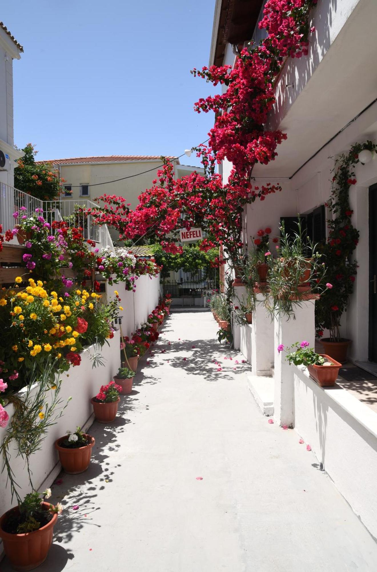Nefeli Mare Holiday home